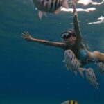 Mélanie Orlenko Instagram – Ces photos ne sont-elles pas magiques ? 🧜🏼‍♀️🐠 
@la_cle_de_playa