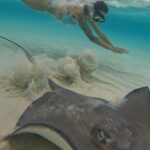 Mélanie Orlenko Instagram – Ces photos ne sont-elles pas magiques ? 🧜🏼‍♀️🐠 
@la_cle_de_playa