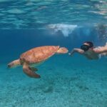Mélanie Orlenko Instagram – Ces photos ne sont-elles pas magiques ? 🧜🏼‍♀️🐠 
@la_cle_de_playa