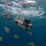 Mélanie Orlenko Instagram – Ces photos ne sont-elles pas magiques ? 🧜🏼‍♀️🐠 
@la_cle_de_playa