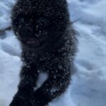 Maïssane Aghioul Instagram - Kisses depuis Megeve ❄️