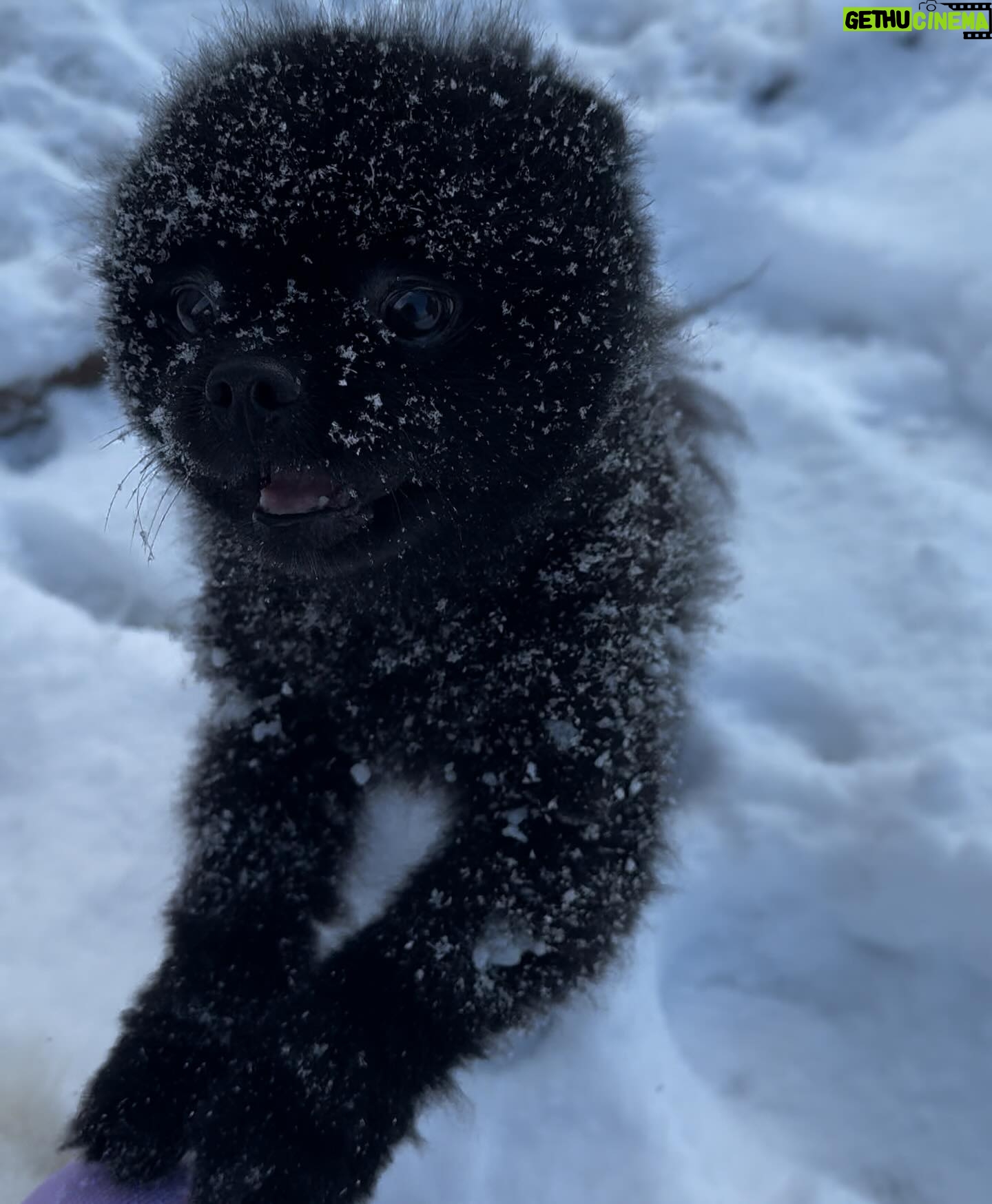 Maïssane Aghioul Instagram - Kisses depuis Megeve ❄️
