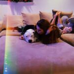 Mackenzie Dern Instagram - Meu filhão! ✌🏽🐾 • • My big boy! ✌🏽🐾