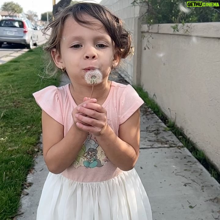 Mackenzie Dern Instagram - Happy 4th Birthday to the love of my life! Today is your day, but for sure this is my favorite day of the year! Thank you God for blessing me with such a special girl full of love, smart, strong personality, and my best friend! I wish so much love and fun moments for this year! You can always count on my baby! I love you!!!! Let’s celebrate!! • • Feliz aniversário para o Amor da minha vida! 4 anos!! Te amo demais Filha! Obrigada Deus por ter me abençoada com uma menina tão dengosa tão linda tão sapeca, inteligente, com personalidade forte e minha melhor amiga! Hoje é o seu dia, mas com certeza é o meu dia preferido do ano! Muita luz e risadas e muito amor e saúde para você Moa! Te amo minha linda!