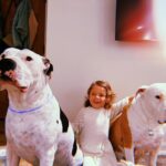 Mackenzie Dern Instagram - 11 year olds & a 3 year old! Grateful for one more year of them taking care of their little sister! The Pack - 2023 😊🐶😍 • • • 2 doguinhos de 11 anos e uma criança de 3 anos! Gratidão por mais um ano deles cuidando da irmãzinha! Família - 2023 😊🐶😍