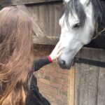 Mackenzie Foy Instagram - I found theses from my @disneysnutcracker training days. Definitely loved talking to all the horses. Also that was probably the prettiest sunset I’ve ever seen. 😌🐎