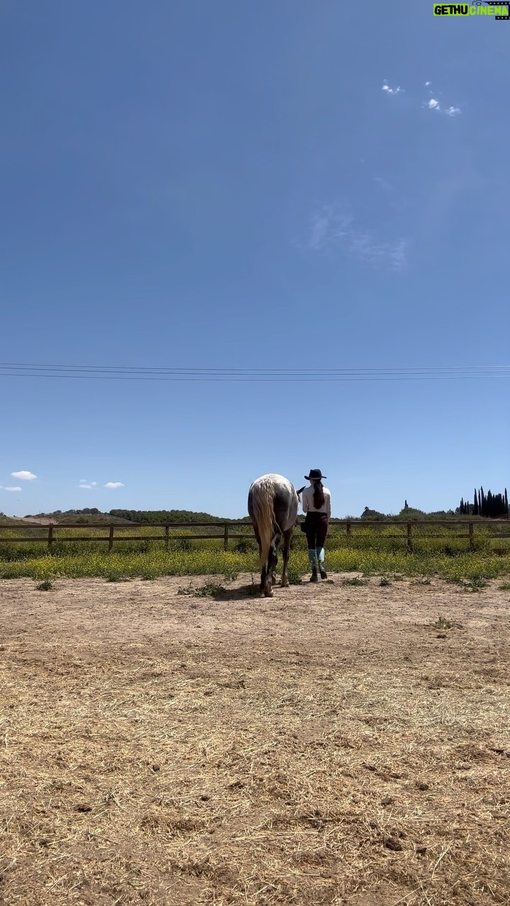 Mackenzie Foy Instagram - Liberty with Whisper