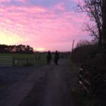 Mackenzie Foy Instagram - I found theses from my @disneysnutcracker training days. Definitely loved talking to all the horses. Also that was probably the prettiest sunset I’ve ever seen. 😌🐎