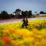 Mackenzie Foy Instagram -