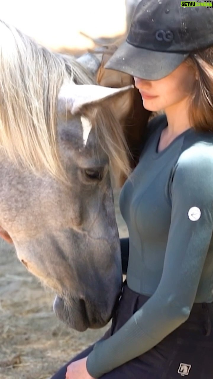 Mackenzie Foy Instagram - An update of Whisper of the Wild Becoming friends