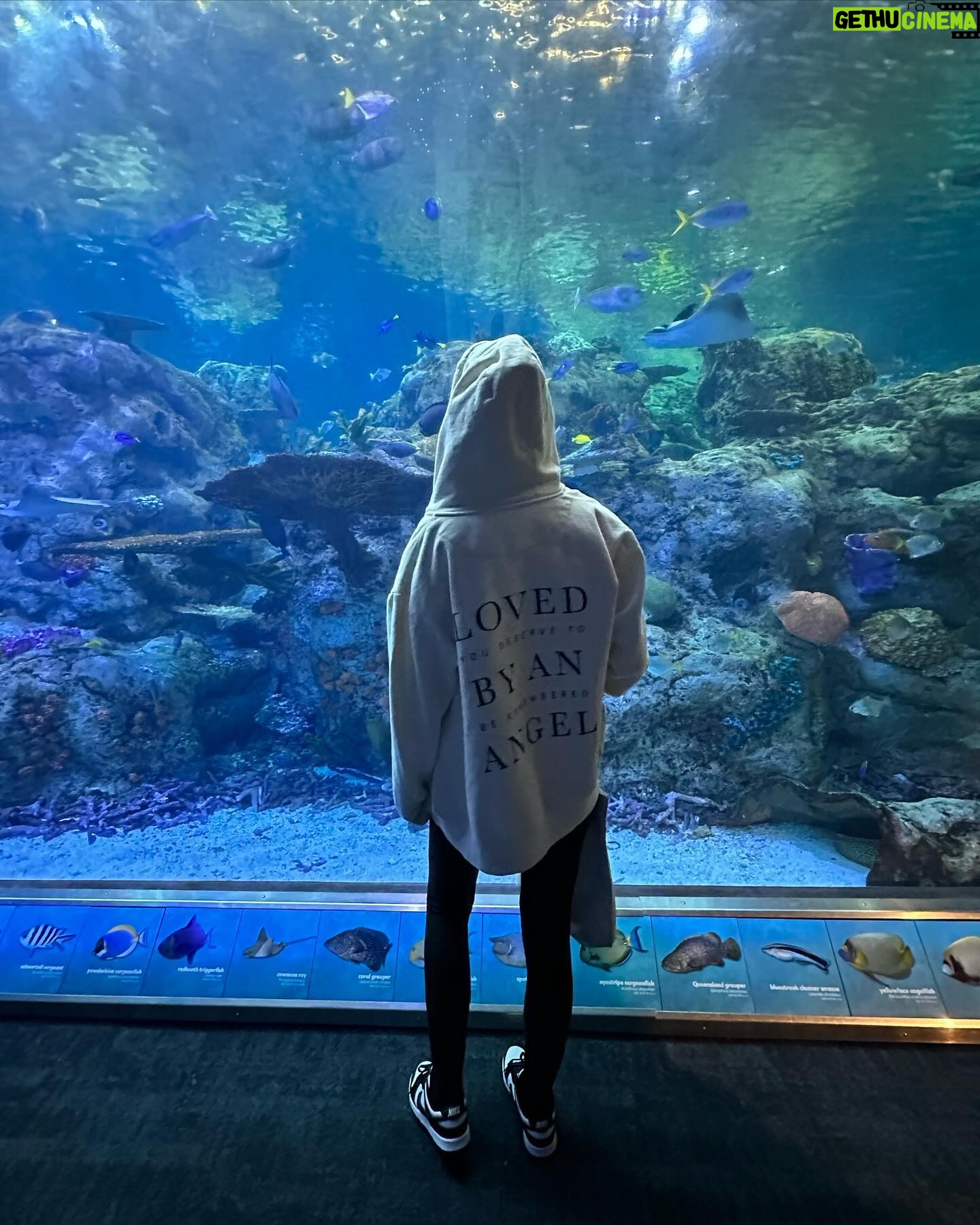 Madisson Hausburg Instagram - 12/12 🩵 In a perfect world, today would look a lot different. But nevertheless, we will forever celebrate you on this day and everyday. Happy 2nd birthday, sweet Elliot! We love you 🎂🐢