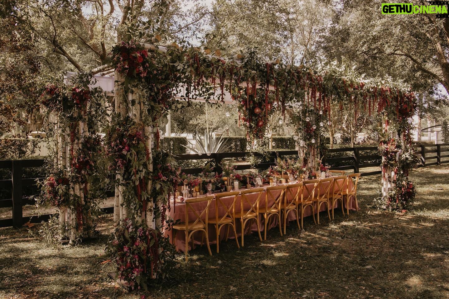 Madisson Hausburg Instagram - 10.21.21 🥀 “Introducing Mr, Mrs, and coming soon, Tiny Soto!” - @taylorchaus, my beautiful sister and wedding officiant. Here are some more wedding pics ahead of the Siesta Key season finale tomorrow evening! I can’t emphasize enough how wonderful and dreamy this day was. @oroeventco really made everything absolutely perfect for me and Ish. All I said was I want an enchanted forest/secret garden vibe and with that @oroeventco and @tailoredtwig took all the stress off my hands and created a true fairytale! Event planner: @oroeventco Flowers: @tailoredtwig Venue: @misionlagoestate Rentals: @gabroeventservices Photography: @paigestellutophoto Videography: @onlywavetv Accommodations: @hardrocktampa Cake: @elisespieces22 Hair: @cheyanne_hair Make up: @melissa_colletteartistry Wedding dress: @stefanienaylor Bridesmaids dresses: @mumuweddings Catering: @cblundys Music: @dj_juicy_one & @candi_theviolinist Photo booth: @posyexchange Neons: @novachrome_design_studio