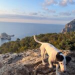 Maggie Civantos Instagram - Junio💙 de aquí pá allá pero siempre junto al mar… Julio se presenta interesante… siempre me gustó Cáncer ♋️ Ibiza, Spain