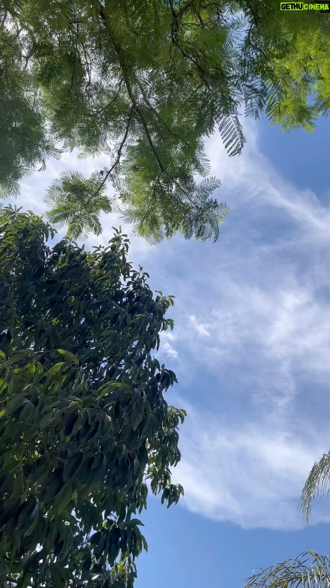 Maggie Civantos Instagram - @alboradaespaciocreativo nos invita a investigar en la palabra y el movimiento. Tenemos novedades y una interesante programación para este otoño 🌹 🙏🏻 @sauceena @albertoberzal_ gracias por venir a explorar y jugar con la naturaleza.