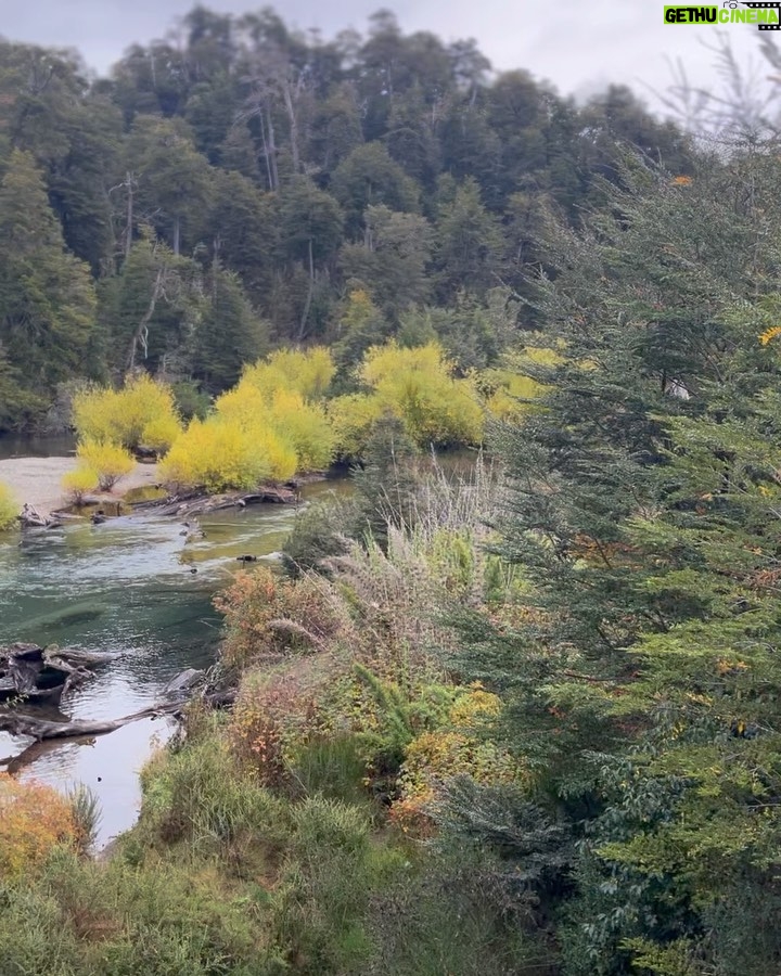 Maggie Civantos - 51.2K Likes - Primer chapuzΓ³n de mi primavera, despidiendo este maravilloso paΓs!
Spring has sprung and autumn has come π»πΌ
The last leg of our journey has been peaceful and beautiful #sanmartindelosandes #patagoniaargentina π€π«ΆπΌ
Gracias @may_ariadna por organizar nuestro viaje!
ππ» @rotui_apart_hotel