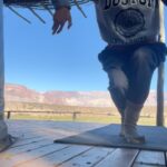 Maggie Civantos Instagram - Mas momentos de #mendoza more about 🇦🇷🤍 I’ll be back soon!