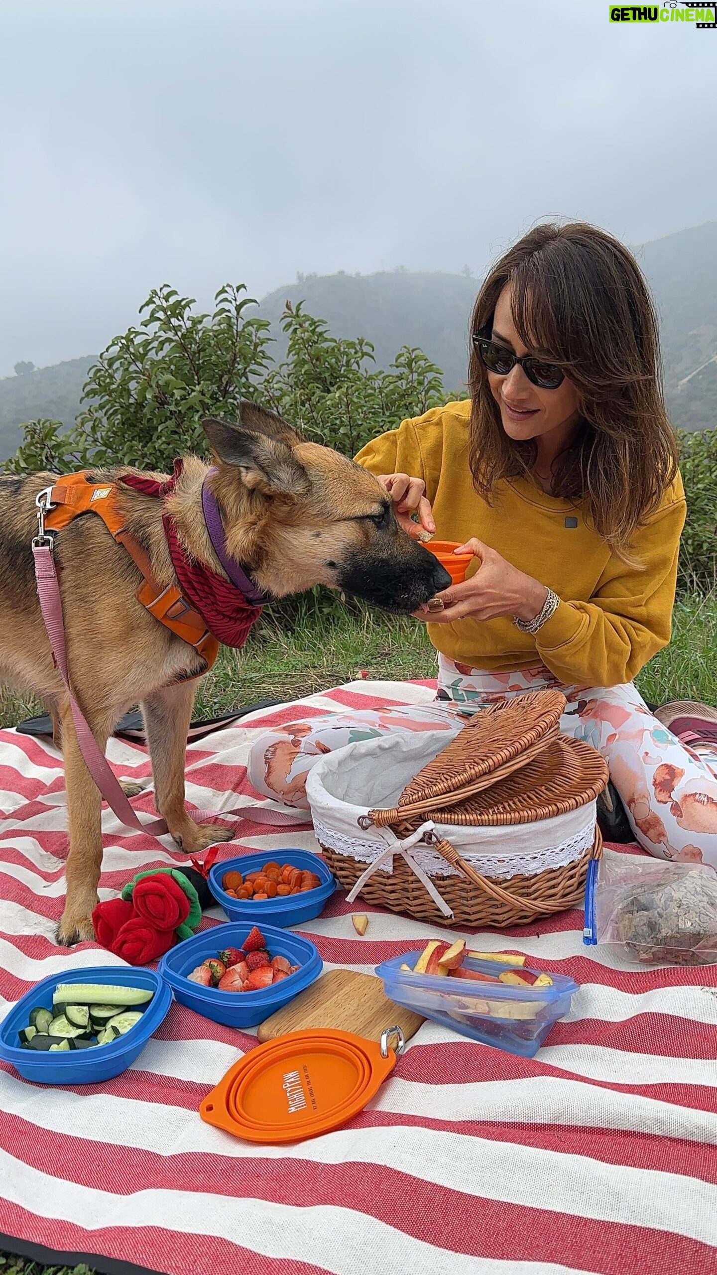 Maggie Q - 31.6K Likes - Watch the surprise Tilly has for @MaggieQ on their hike ❤️ Special thanks to @shirascottastrof & @theanimalrescuemission for setting them up!