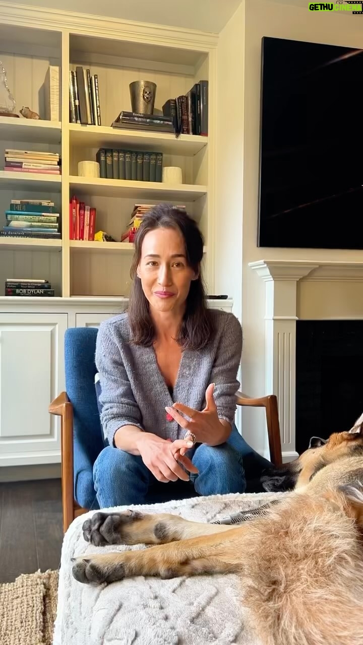 Maggie Q Instagram - When we get up in the morning, we’re so excited to see our animals. I know I am! However, all this high-energy affection riles up my dogs and sets us up for whine-filled car rides and over anxious behavior. BUT! We can help our dogs remain more calm in the morning by having the same calm presence we wish to see in them. Try giving your dogs less attention when you first wake up in them morning. Get your stuff ready for the day, take care of you. Then, after your morning walk or exercise you can let the love kick in! Once you’re out on your walk, your dogs can expend all that happy energy from your love in a proper setting as opposed to in your house or car. This has worked with my little dog pack and I think it could work for you!