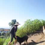 Maggie Q Instagram – MY MORNINGS! Every day I can manage, the dogs and I get out for beach walks and mountain hikes.
ps – always remember your sunscreen!