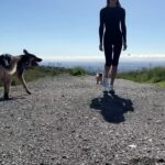 Maggie Q Instagram – For my job, I get to work with the top stunt coordinators and choreographers in the world. I trust that they know the specifics of the movements I need to do, and the prep I need to master them.
My end of the bargain is making sure my body is ready for these intense periods of work. The best way I know how to do that is increasing my cardiovascular endurance! I always show up to set and make sure my body won’t be the thing holding back my training. Mental errors during pre-production are okay and part of the process. But I won’t let my fellow cast and crew down by showing up out of shape.
Here’s my run-walk cardio routine:
30-40 minutes total
60 seconds of running (light jog, not all out sprint)
2 minutes of walking