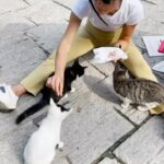 Maggie Q Instagram - Look who we found! Calling them The Great Wall cats. They could not be greater.