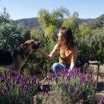 Maggie Q Instagram – Lavender power! 💜 🌿 Beneficial and beautiful, this aromatic herb is a must-have for your yard.
Lavender supports bees and other pollinators, while repelling unwanted bugs like mosquitoes, flies, and moths. It keeps fleas and ticks away too, so it’s great for my animals! Lavender is an affordable option for your yard that looks and smells amazing. It’s easy to plant too. Just make sure you choose a spot that gets lots of sunlight and has good drainage. Other than that, you’re good to go!