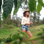 Maggie Q Instagram - With all that’s going on I wanted to share some love for my home, Hawaii. In the mountains where I grew up, it’s cloudy and green and wet. It’s not a side of Hawaii people often see. I come up here to dig in the dirt, check on my plants, run around with my dogs, and take stock of all the wonder and beauty that exists in our world. The thing that keeps me most open and literally grounded is seeing these fruits and vegetable push up through the dirt, find the light, and thrive. Mahalo 💚