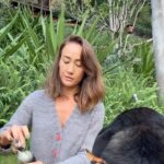 Maggie Q Instagram - Rose and geranium are the essential oils I use to keep fleas and ticks away from my dogs. The oils I use are nothing fancy. I just pick up generic ones from the health food store. It’s one of the wonders of nature that the scents of rose and geranium are so hated by fleas and ticks, but so wonderful to humans! (I love how my dogs smell after placing this on them!) Besides placing drops of essential oils on my dogs, I also like to add garlic to their food during high tick seasons (fall and spring) to give them internal protection too. Try this out on your dogs for flea and tick protection especially if you live in a wooded area or go on lots of hikes.