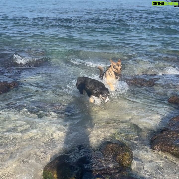 Maggie Q Instagram - Home. The feeling of home is one I’m so blessed to have in Hawaii. It’s a restorative feeling. A time to reflect, and fill up. Time on my farm and with the dogs are really my place to do that. I’m so lucky to have this place, but I think we can be intentional about cultivating a sense of home too. Even if home for you is not where you grew up or not your related family, that doesn’t diminish home’s power. When you’re choosing people, places, and things to live with, cultivate your home.