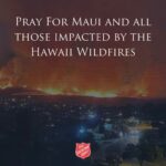 Maggie Q Instagram - No matter where you are from, when your home is affected by tragedy it hurts your heart for every person, place, and animal that has suffered. I don’t even have words for the families of the victims and for those still searching for their missing loved ones. I am so sorry, I am heartbroken for our home. Let’s come together as a community and give anything we can. People have lost everything, and they need your help. Love and Aloha and thank you for reading ❤️🏝️ @mauihumanesociety @salarmyhi @teamrubicon First image credit @kakoo_haleakala