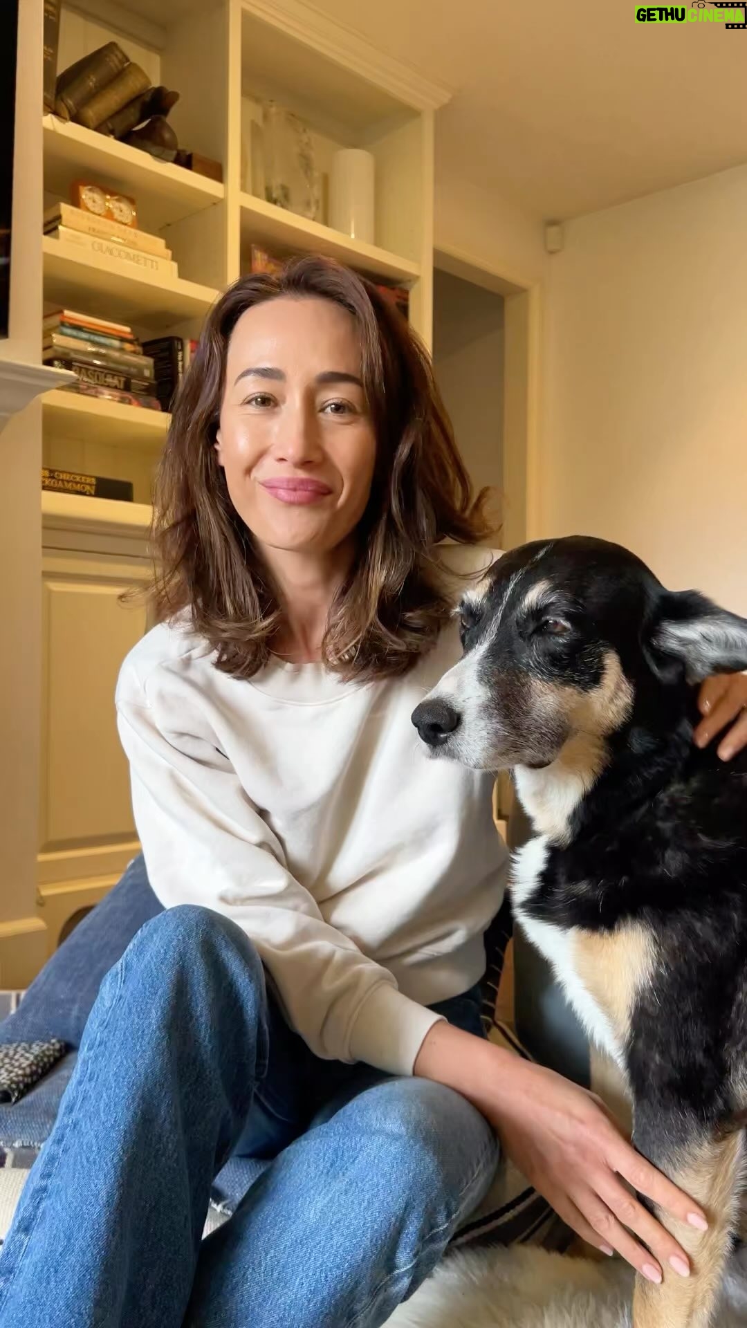 Maggie Q Instagram - You might already know these bloating tips, but I’m here to reiterate them. Eat slow, chew, and eat early (potentially alone lol).