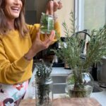 Maggie Q Instagram - Even in the winter, you still want fresh herbs and so do I! What I do is I take little cuttings from my garden before it gets too cold, then I bring them inside and plant them in water. It really couldn’t be easier! Basil, oregano, thyme, and mint are all good options for this planting method! All you need to do is keep refilling the water as these little guys drink it.