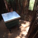 Maggie Q Instagram - Mother Nature is so powerful! If she chooses us, we must respond! A colony of bees moved into one of the wooden boxes that I’d hung for squirrels around my property. They were producing so much honey that it was getting too heavy for the squirrel box! I had an amazing bee keeper come remove the box, keep my bees safe, then return them to this new hive we built! The bees have been hard at work pollinating and I can definitely see the difference with my plants, specifically the fruit trees on my property! I’m so thankful the bees chose me!