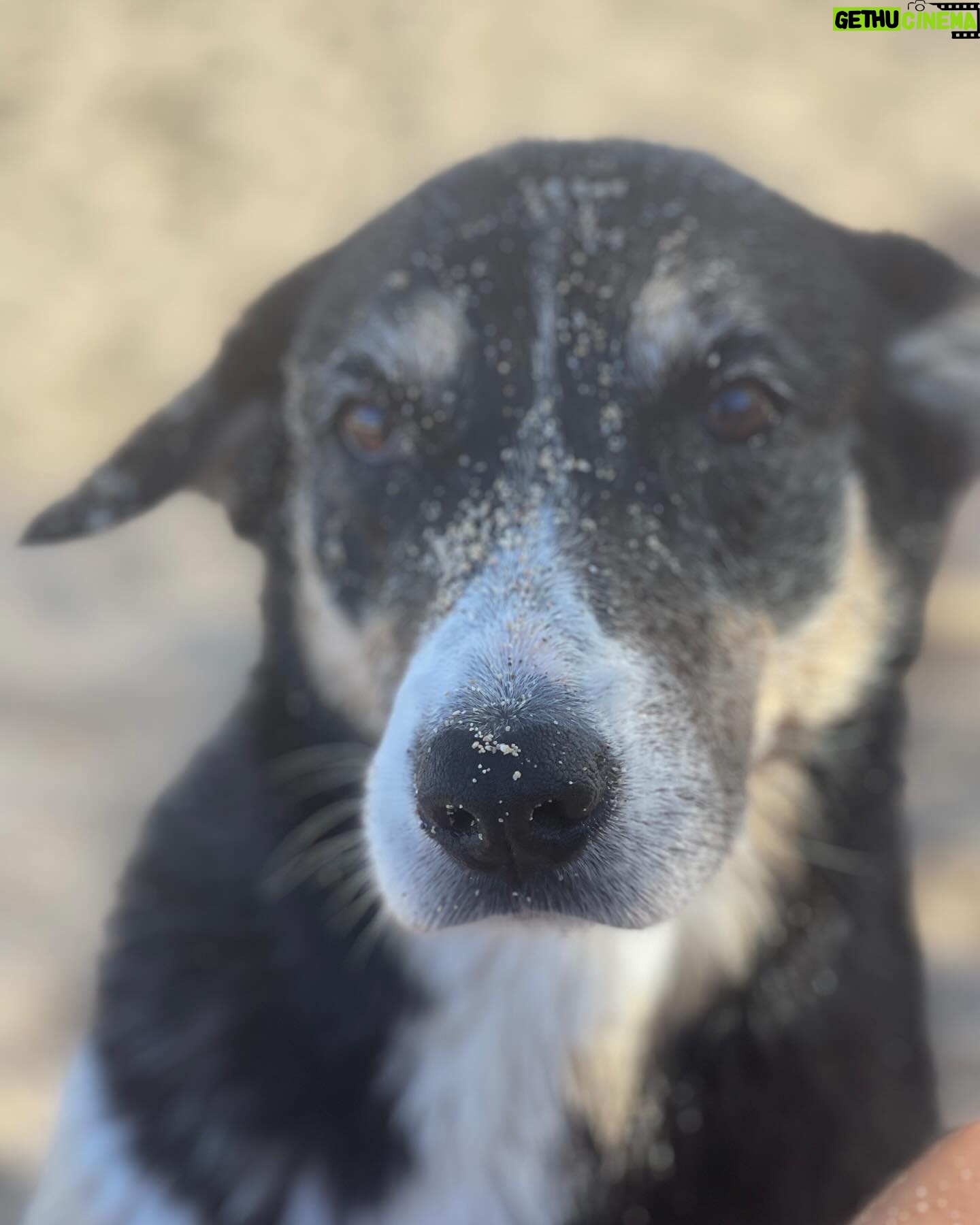 Maggie Q Instagram - Home. The feeling of home is one I’m so blessed to have in Hawaii. It’s a restorative feeling. A time to reflect, and fill up. Time on my farm and with the dogs are really my place to do that. I’m so lucky to have this place, but I think we can be intentional about cultivating a sense of home too. Even if home for you is not where you grew up or not your related family, that doesn’t diminish home’s power. When you’re choosing people, places, and things to live with, cultivate your home.