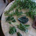 Maggie Q Instagram - How I Wash My Veggies! 🥬🌱 I wash in water with a tsp. of vinegar. I line the drawer with a paper towel because that seems to keep them fresher for longer! I try to only harvest what I’m going to eat within a few days so that I can eat my produce at peak nutrition.