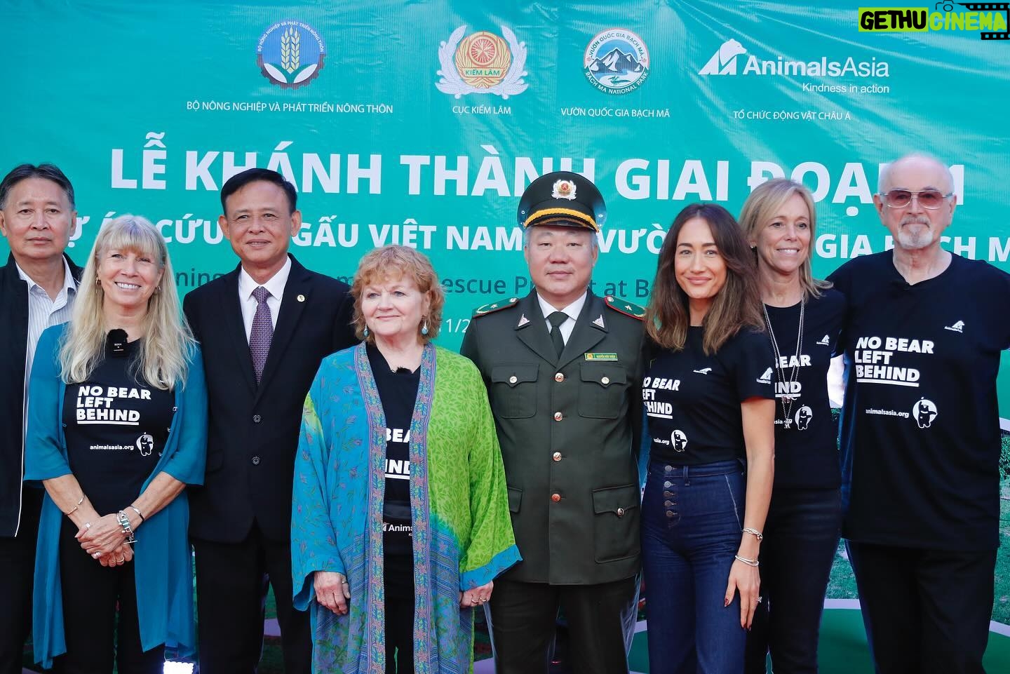 Maggie Q Instagram - I can’t believe how many years I have been able to work with the AMAZING Animals Asia. It’s been close to 20 years since I discovered their mission and what an HONOR is has been to fight alongside them. This recent trip to Vietnam to open the newest sanctuary that will house the remaining bear bile farmed moon bears was a touching moment indeed. When I started with them this practice was legal. Now it has been made ILLEGAL and the remaining few hundred bears who live a life of torture will be brought here to heal, rest, and live the life intended for them. I was able to name Phoenix after she was rescued from many years in a cage. Dumped on a construction site, the lock that imprisoned her sits on my desk. Now she eats bananas and condensed milk and has been given a second chance at her relationship with humans. As flawed as we are, in what we put animals and other people through… the other side are those who work to fix all that. You make the world a better place @animalsasia