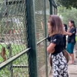 Maggie Q Instagram – I can’t believe how many years I have been able to work with the AMAZING Animals Asia. It’s been close to 20 years since I discovered their mission and what an HONOR is has been to fight alongside them. This recent trip to Vietnam to open the newest sanctuary that will house the remaining bear bile farmed moon bears was a touching moment indeed. When I started with them this practice was legal. Now it has been made ILLEGAL and the remaining few hundred bears who live a life of torture will be brought here to heal, rest, and live the life intended for them. I was able to name Phoenix after she was rescued from many years in a cage. Dumped on a construction site, the lock that imprisoned her sits on my desk. Now she eats bananas and condensed milk and has been given a second chance at her relationship with humans.

As flawed as we are, in what we put animals and other people through… the other side are those who work to fix all that. You make the world a better place @animalsasia