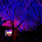Magui Bravi Instagram - Noche hermosa de Apertura @festivalrojosangre ! En este gran festival podrás ver el mejor cine de Género y Fantástico. Y éste año tengo el honor de ser jurado ! 💀❤️🩸 Mira todo el line up y saca ya tus entradas @cinesmultiplex @elculturalsanmartin Foto 2 : Además : es el estreno exclusivo en Argentina de la peli MARIA 🎬de @gabriel.grieco y @nicloreti este viernes de la que soy parte de un elencazo! Venis ? 🍿 ( la peli tendrá su estreno oficial en todas las salas en 2024 ) Foto 3 @aguilar.elian felicitaciones siempre a vos y todo el equipo por la gran organización! Y mi partner in crime @eve.gasser #maguibravi #cinedegenero #rojosangre