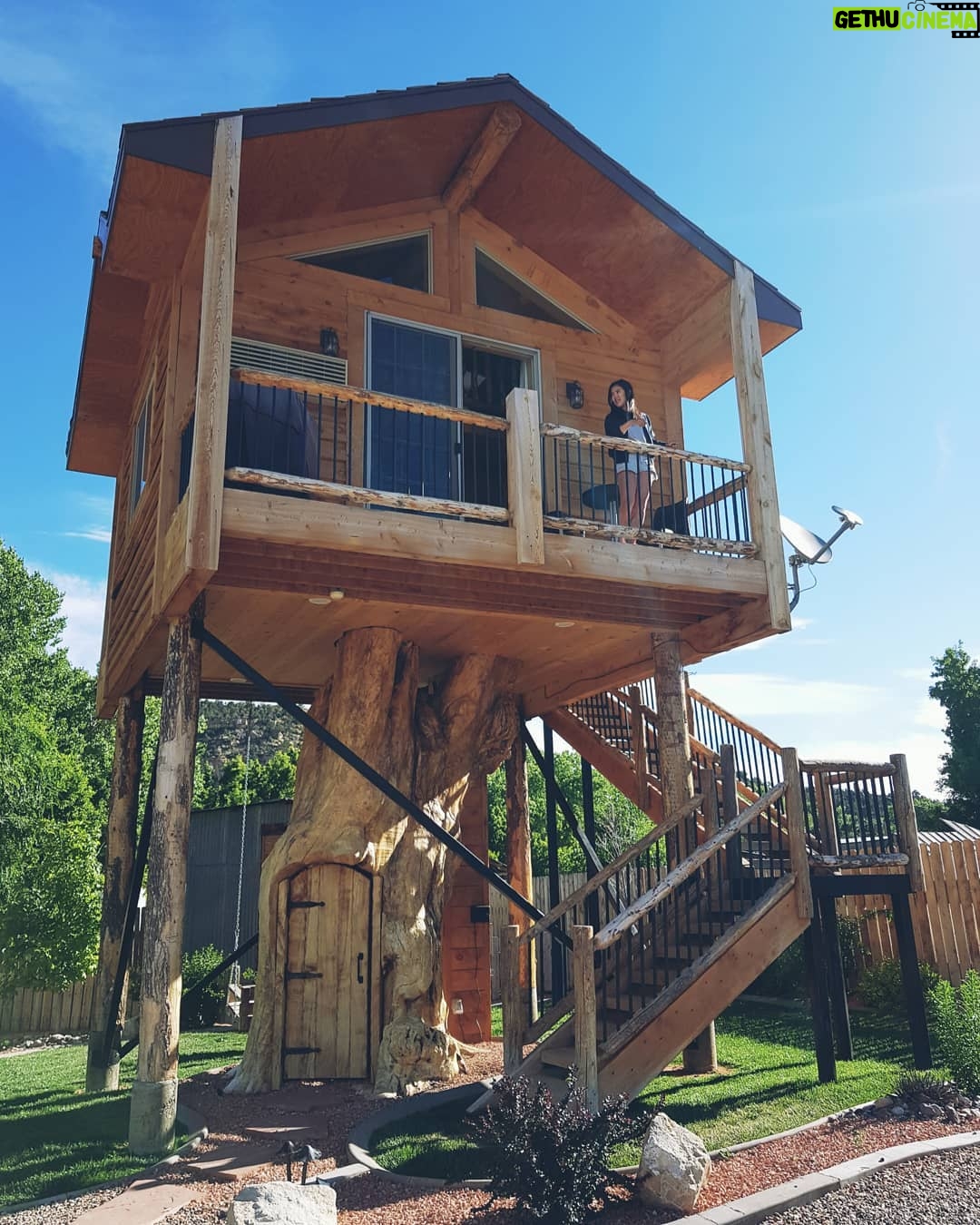 Mai Thi Nguyen-Kim Instagram - 🌳🏠☀️