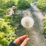 Maisie Richardson-Sellers Instagram – Springting. 🌱