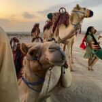 Maitreyi Ramakrishnan Instagram - lumpy horses with @forbesunder30 🐫🐪☀️
