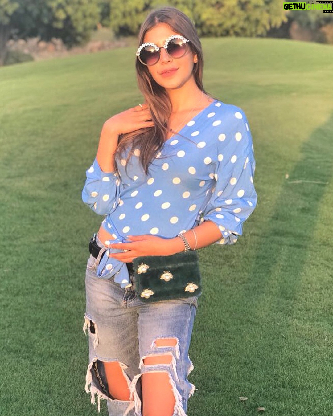 Malak Koura Instagram - What do you guys think of my new sunglasses from @fgb_egypt? I love the craftsmanship; the stones are Swarovski ♥️ @monkeyters
