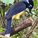 Malena Guinzburg Instagram - Hermosas las Cataratas. Hermoso viaje!!!! Gracias @pristinecamps @puerto_bemberg y toda la gente hermosa del lugar!