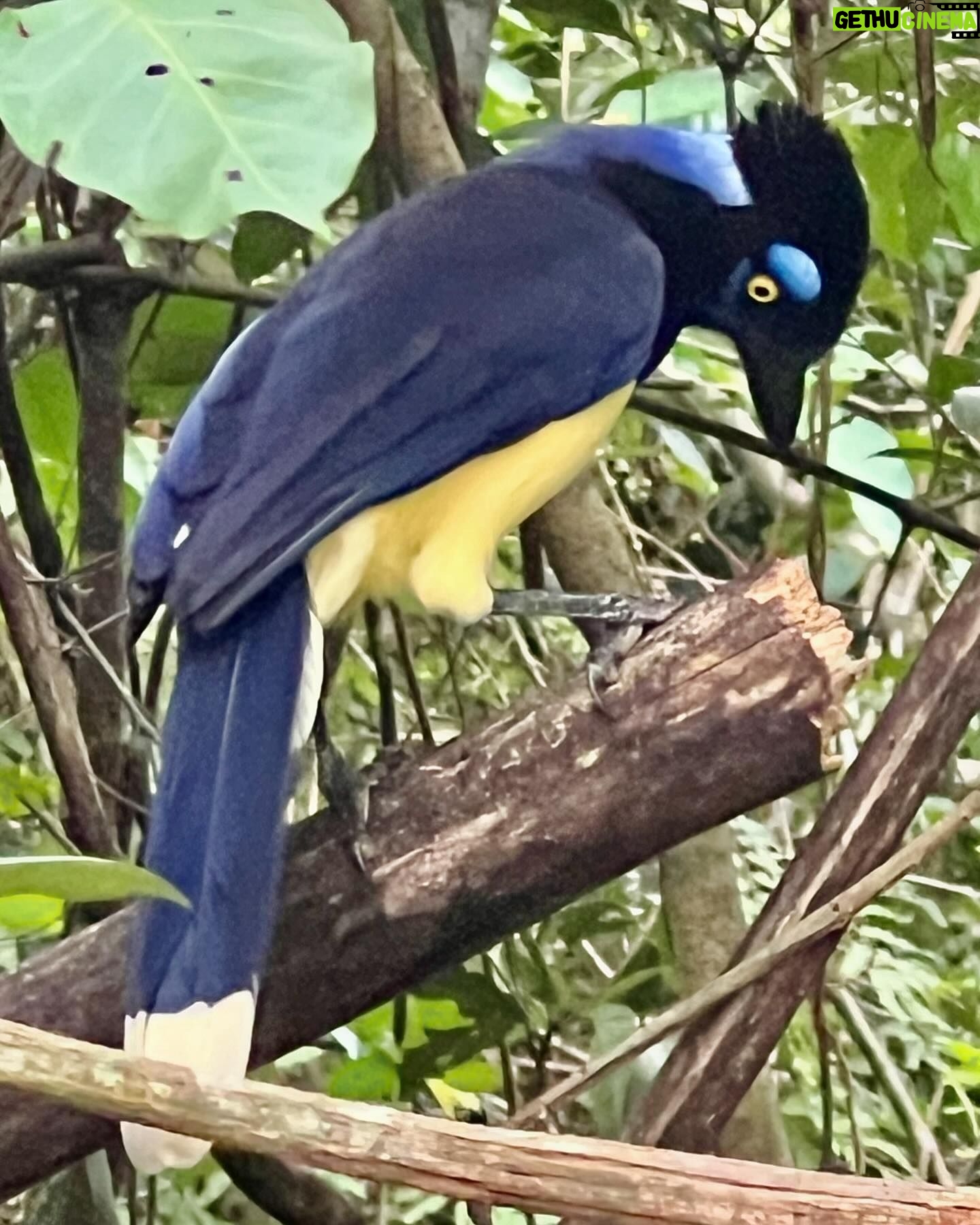Malena Guinzburg Instagram - Hermosas las Cataratas. Hermoso viaje!!!! Gracias @pristinecamps @puerto_bemberg y toda la gente hermosa del lugar!