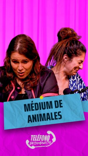 Malena Guinzburg Instagram - LA MEDIUM DE ANIMALES 🙀🐾🐢

A cierta edad uno empieza a hablar con las plantas, con los animales, con uno mismo (?) …  Pero cuando les hablamos nos entienden? cual es su verdadero idioma ? En este episodio Connie nos cuenta del idioma Gatuno -aprendido en Tik Tok - se lo enseña a Male para que le charle un poco a Chavela 🫣😹 pero no nos quedamos en los animales vivos q tenemos en nuestras casas… también hablamos con Una medium de animales que aparentemente se comunica con animales ‘del cielo’ pero ojo hay condiciones para poder comunicarse con ellos 👻… escucha el episodio y descrilooooooo 

☎️“TELÉFONO DESCOMPUESTO” ☎️
El podcast que podés escuchar y ver en YOUTUBE y SPOTIFY

Cuéntenos qué les pareció y suscríbanse al canal de YouTube y Spotify (es gratis!!)

TELÉFONO DESCOMPUESTO
Host: @connieballarini @mguinzburg
Realización: @interesgeneralpodcast
Productor @matiasdaneri
Editor de video @guidodirisio
Productor general @juanbelli24
Edición artística @matiasfoti