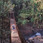 Malena Guinzburg Instagram - Dos días en el paraíso! Nos vinimos a @pristinecamps en Iguazú! Yo ya conocía el de Salinas y me había fascinado. Suponía que este iba a ser genial también, y no me equivocaba! Todo es perfecto, el lugar, el paisaje, la gente, la comida. Posta es una experiencia espectacular. Ahora me falta conocer el de Calafate!!! ❤️❤️❤️❤️❤️