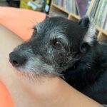 Malena Pichot Instagram - Pero cómo no vas a tener perro?!