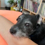 Malena Pichot Instagram - Pero cómo no vas a tener perro?!