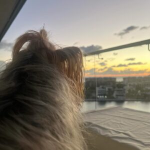 Malillany Marín Instagram - Life at sea 🦀