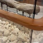 Malillany Marín Instagram - Life at sea 🦀